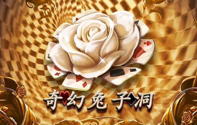 南宫28ng娱乐平台游戏特色